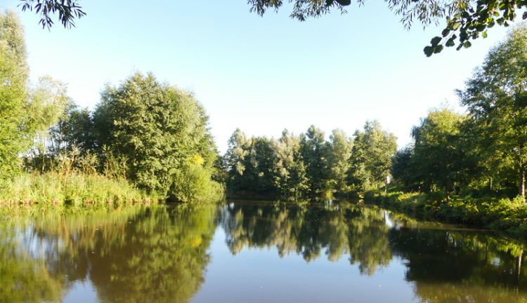 Blick auf einen Tonteich in der Bekow