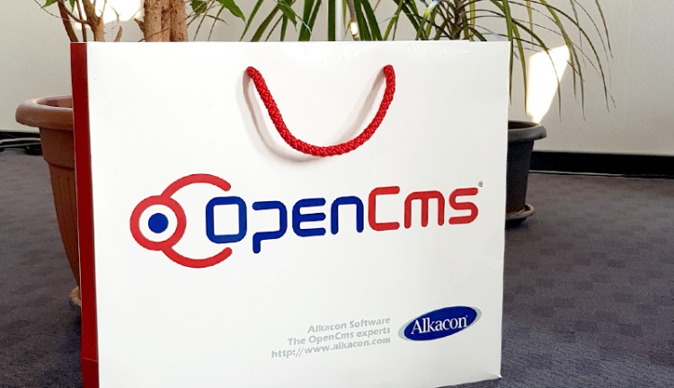 Hansestadt Greifswald - OpenCms mit XZuFi-Schnittstelle Hansestadt Greifswald - OpenCms mit XZuFi-Schnittstelle