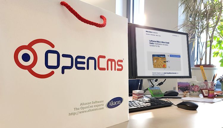 Die technische Umsetzung erfolgte mit dem Content Management System OpenCms