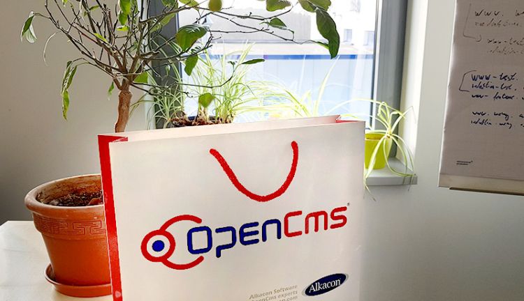 OpenCms - Das perfekte CMS für Ihren Auftritt