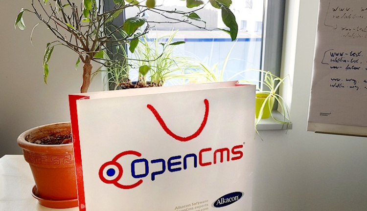 OpenCms - Das perfekte CMS für Ihren Auftritt OpenCms - Das perfekte CMS für Ihren Auftritt