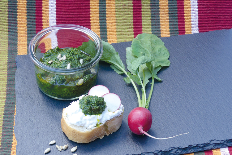 Scheibe Brot mit Frischkäse und Radieschenpesto, daneben ein Pestoglas und ein Radieschen