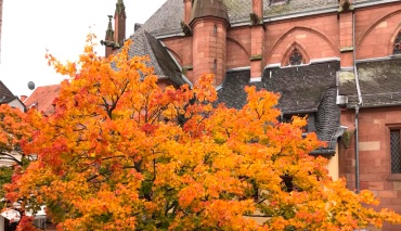 Stiftskirche in Neustadt an der Weinstraße (© Foto: Gabriele Seltitz)