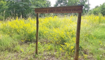 Wanderung durch das Arboretum