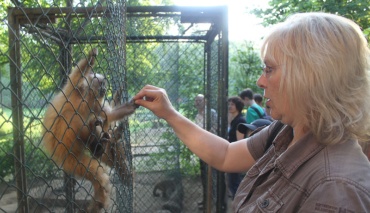 Kontaktpflege im Schweriner Zoo (2012)