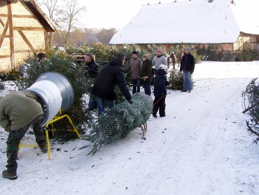 Tannenbaumschlagen in Bahlenhüschen 2009