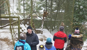 Besucher stehen vor dem Gehege der Kapuzineraffen