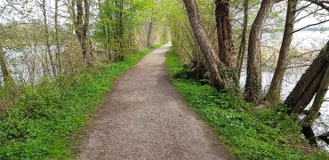 Wanderweg am Schaalsee der links und rechts von Wasser umgeben ist