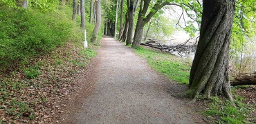 Wanderweg entlang des Schaalsee