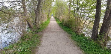 Schaalseewanderweg links und rechts gesäumt von Wasser