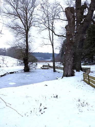 Eisbedeckter kleiner Ausläufer am Rand des Neumühler Sees