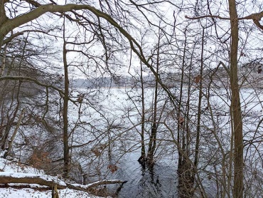 Blick durch die Uferböschung auf den winterlichen Neumühler See