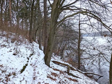 Schneebeckter Wanderweg am Uferabhang des Neumühler Sees