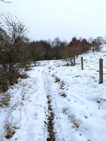 schneebeckter Wanderweg zwischen Uferböschung und Feldrand am Neumühler See