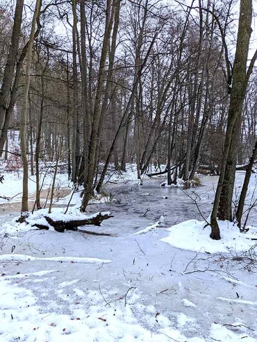 mit Eis und Schnee bedeckte Uferzone des Neumühler Sees