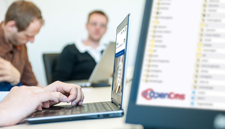 Investorenportal - Einfache Content-Pflege mit OpenCms Investorenportal - Einfache Content-Pflege mit OpenCms