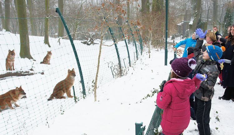 PLANET IC Familientag im Schweriner Zoo