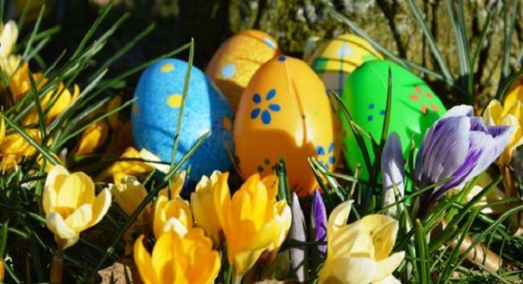 Kurverwaltung Ostseebad Boltenhagen - Ostern in Boltenhagen Landingpage (Ausschnitt) der Osterkampagne für die Kurverwaltung Boltenhagen