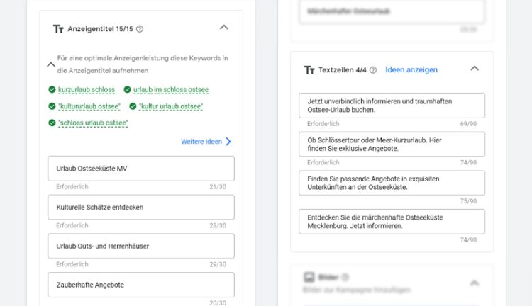 Screenshot von Google Ads Einstellungen Screenshot von Google Ads Einstellungen